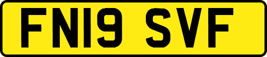 FN19SVF
