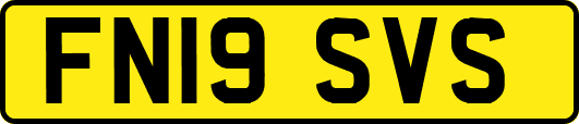 FN19SVS