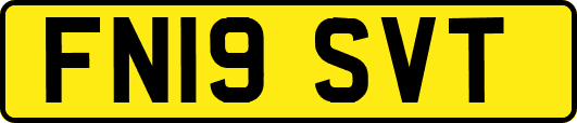 FN19SVT