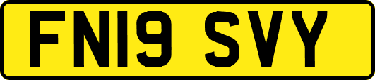 FN19SVY