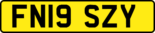 FN19SZY