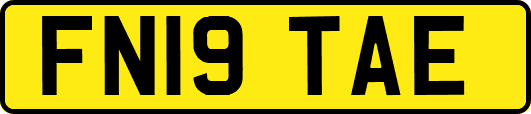 FN19TAE