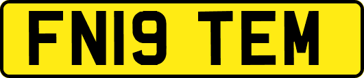 FN19TEM