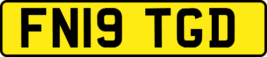 FN19TGD
