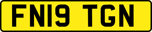 FN19TGN