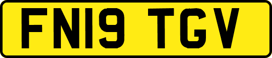 FN19TGV