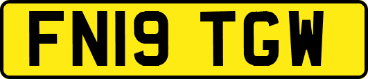 FN19TGW