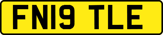 FN19TLE