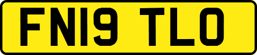 FN19TLO