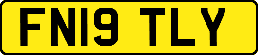 FN19TLY