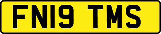 FN19TMS