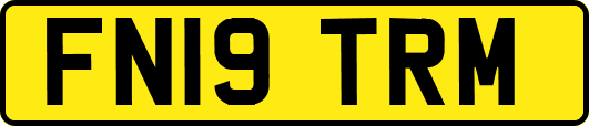 FN19TRM