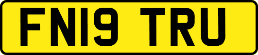 FN19TRU