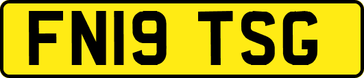 FN19TSG