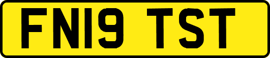 FN19TST