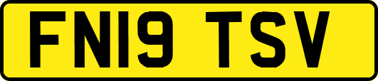 FN19TSV
