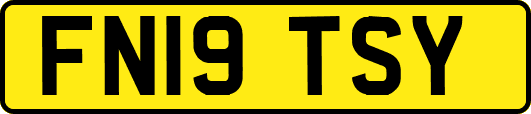 FN19TSY