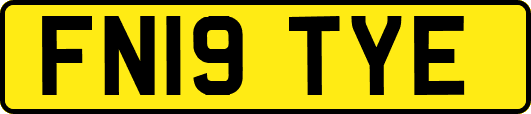 FN19TYE