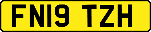 FN19TZH