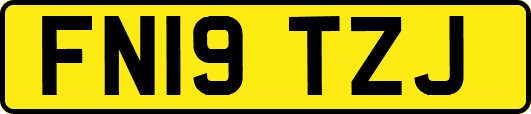 FN19TZJ