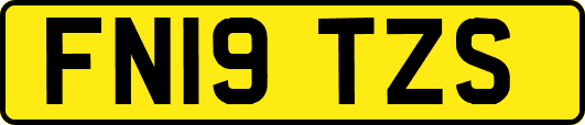 FN19TZS