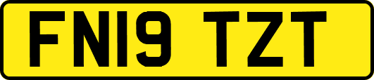 FN19TZT