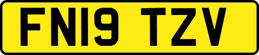 FN19TZV