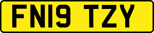 FN19TZY