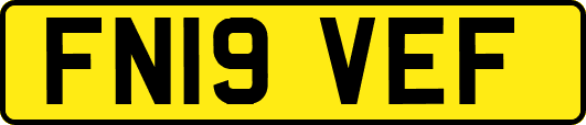 FN19VEF