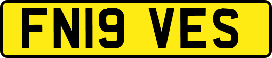 FN19VES