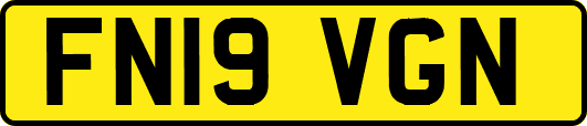FN19VGN