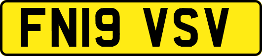 FN19VSV