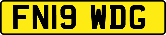 FN19WDG