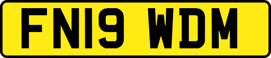 FN19WDM
