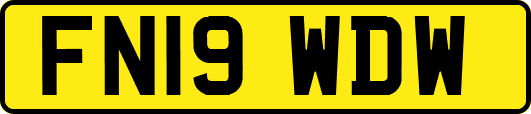 FN19WDW