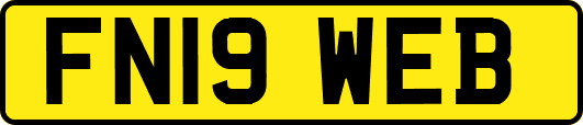 FN19WEB