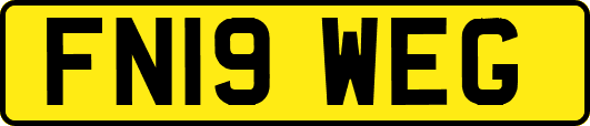 FN19WEG