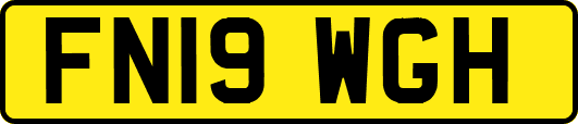 FN19WGH