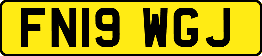 FN19WGJ