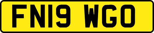 FN19WGO