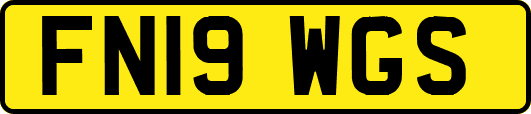 FN19WGS