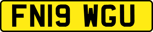 FN19WGU