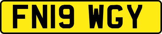 FN19WGY