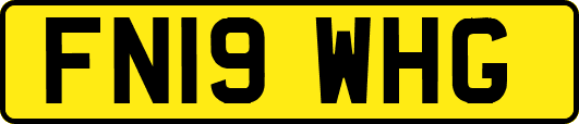 FN19WHG