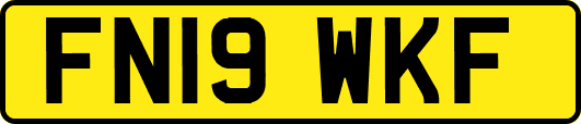 FN19WKF