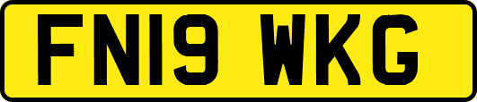 FN19WKG