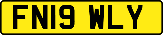 FN19WLY