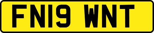 FN19WNT