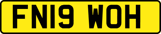 FN19WOH