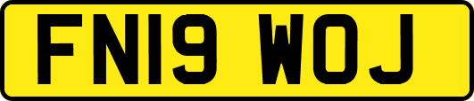 FN19WOJ